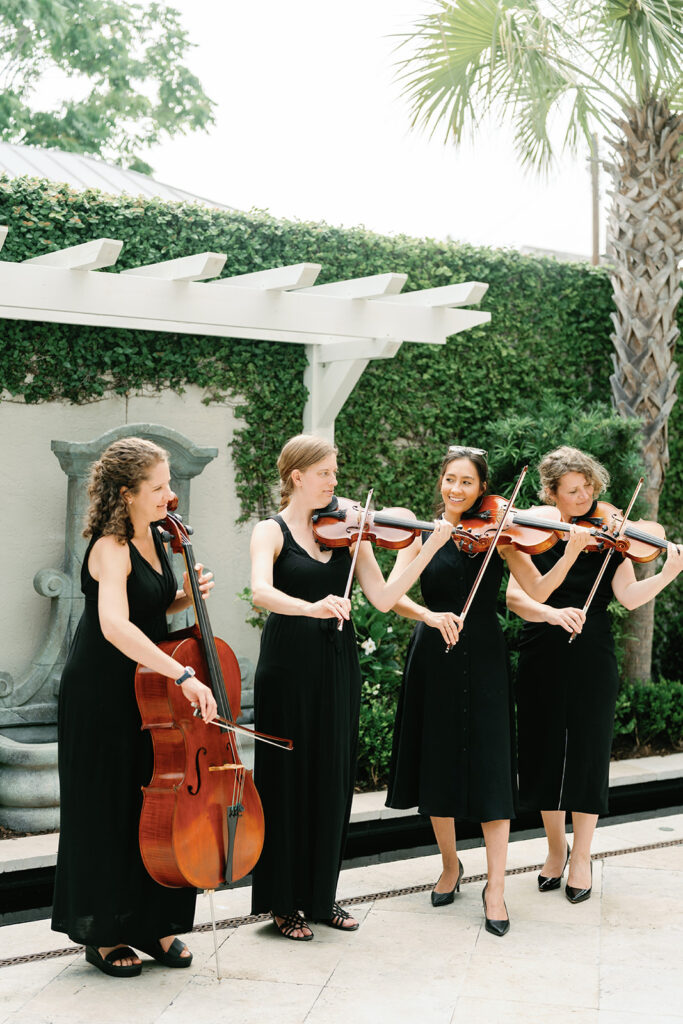 charleston string quartet